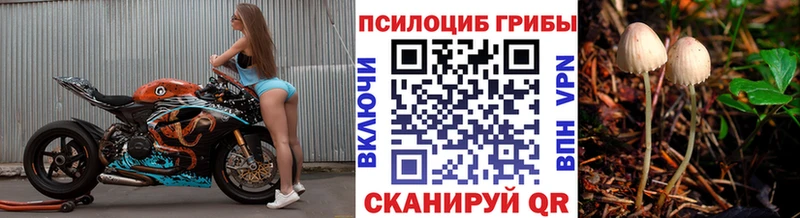 цены наркотик  Светлый  Галлюциногенные грибы Psilocybe 